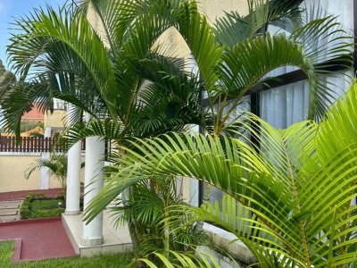 Villa a vendre